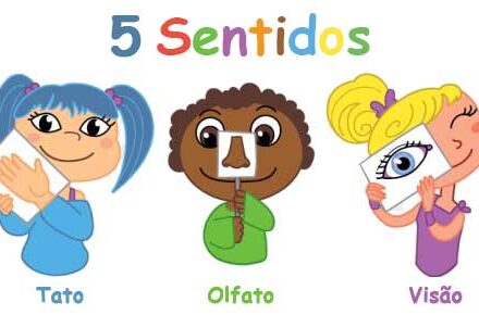 Os 5 sentidos