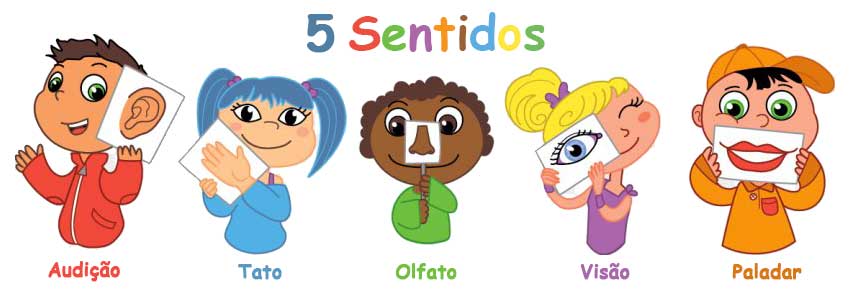 Os 5 sentidos