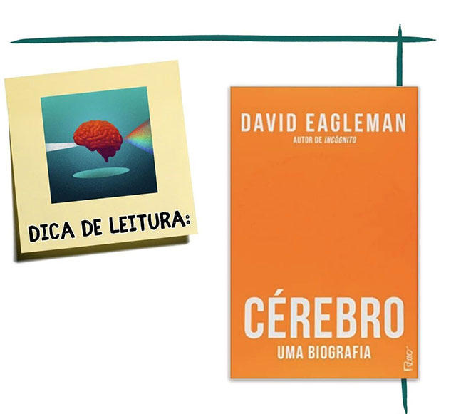 Livro "Cérebro - Uma Biografia" - por David Eagleman