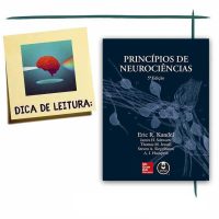 Princípios de Neurociências - por Eric R. Kandel, James Schwartz, Thomas M. Jessell, Steven A. Siegelbaum, A.J. Hudspeth, Carla Dalmaz, Jorge Alberto Quillfeldt