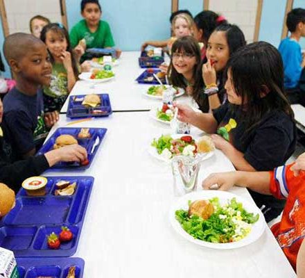 Escolas que atendem demandas de mercado